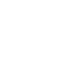 Pillow Fight Champion