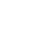 Auditor Can't Fix Stupid