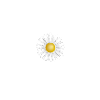 Oopsie Daisy