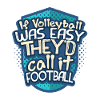 volleyball