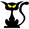 Black cat