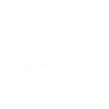 Schwimmen