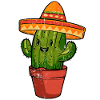 Cactus Mexico