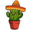 Mexico cactus desert