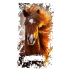 horse