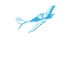Model flight