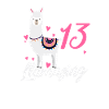 13th birthday llama