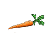 Carrot | vegetables