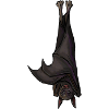 bat