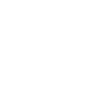 4 Takter Isländer Islandpferd Pony