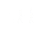 Handstand Evolution Entwicklung Handstände Akrobat