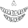 Mouthguard - skull skull
