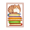 Lehrer-Lesebuch Cat Silence Read