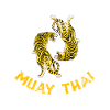 Muay Thai