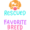 Animal shelter adopting dogs