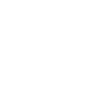 Scout team leader leader