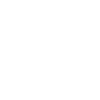 Scout squad
