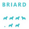 Astuces briard tenaces