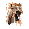 cheval