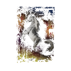 chevaux