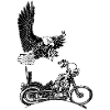 0906 eagle chopper knucklehead