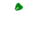 Four-leaf clover