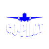 Flugzeug Luftfahrt Copilot