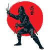 Japanischer Ninja - Kampfkunst - Judo & Karate