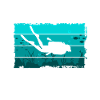 Divers dive