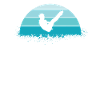 Diving diving board
