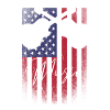 USA country music