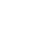 Fighter bull bull