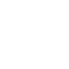 Fighter Bulle wappen