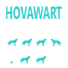 Astuces Hovawart tenaces