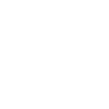 Delfin