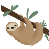 Sloth Lilly