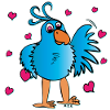 Oiseau drôle