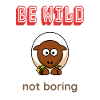 Be WILD not boring