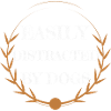 dog - easily distracted by dogs