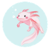Sweet Axolotl in the sea