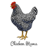 Chicken Mama Black Barred Plymouth Rock Hen Mom