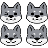 Four Gray Masked Siberian Huskies