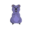 Quokka