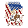 Cowboy America