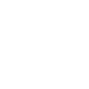 Evolution Downhill Mountain Bike