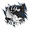 Fly fishing - trout fishing