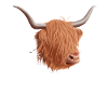 Scottish Highland Cow