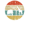 Safari