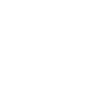 Auto revolution