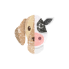 Chien vegan